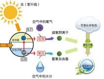 好的光觸媒甲醛治理產(chǎn)品需要具備什么核心？