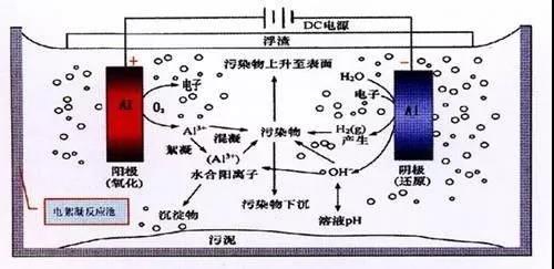 我買了一個甲醛檢測儀，吹口氣后發(fā)現(xiàn)原來我才是“地表最強”污染源！