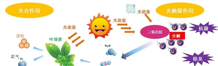 甲醛治理用什么辦法最正確？這三點常見的除甲醛辦法其實是誤區(qū)