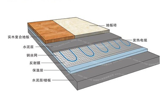 冬季，它們成了甲醛的幫兇