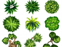 可以凈化室內(nèi)空氣的植物，這二十種您需要好好了解一下！