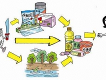 食品中有塑化劑嗎？這些食品中含有大量塑化劑，食用時一定要注意！