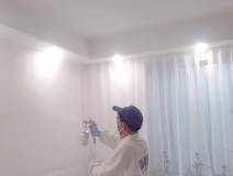 什么辦法去除甲醛比較好？
