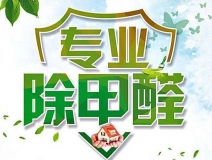 除甲醛公司的專業(yè)性表現(xiàn)在哪些方面？