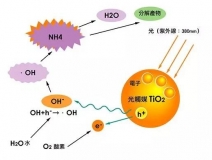 現(xiàn)在光觸媒的價格是多少？