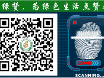 萬萬沒想到！床品上也會有甲醛污染
