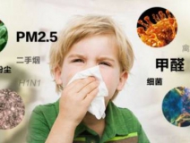 常見(jiàn)的家用除甲醛方法真的有效嗎？我們來(lái)看一看