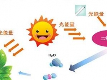 甲醛治理用什么辦法最正確？這三點(diǎn)常見的除甲醛辦法其實(shí)是誤區(qū)