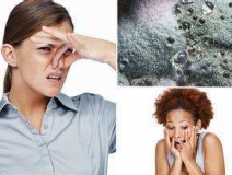 家里有異味怎么辦？科學(xué)除味、治理甲醛就對了！