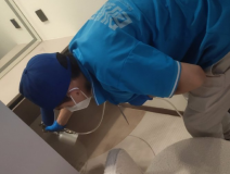 地毯也會(huì)引起甲醛超標(biāo)嗎？