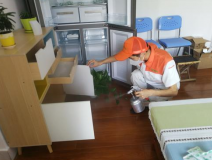 除甲醛公司是否靠譜？靠譜的公司有哪些特點？