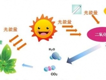 光觸媒去除房間甲醛爭(zhēng)議很大？