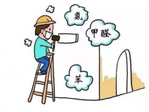 去甲醛具體有哪些方法呢？