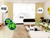 網(wǎng)上的除甲醛好辦法真的有效嗎？原理是什么