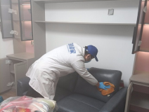 哪種方法除甲醛才是真正有效的呢？