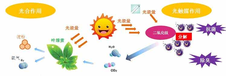 家中甲醛超標(biāo)，什么才是甲醛治理的正確姿勢？